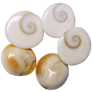 Gomti chakra